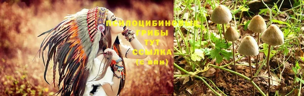 спайс Алексеевка